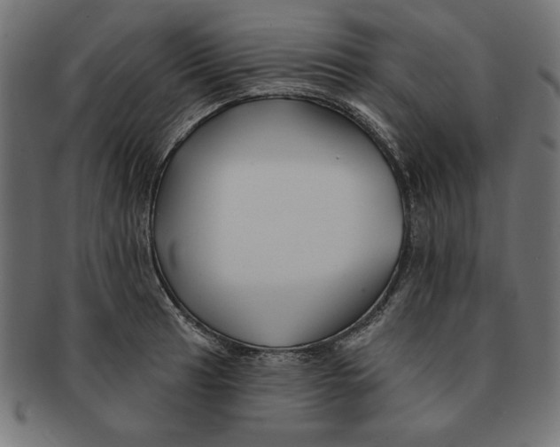 X0000091671041200709201215