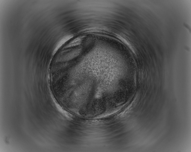 X0000091671042200709201215