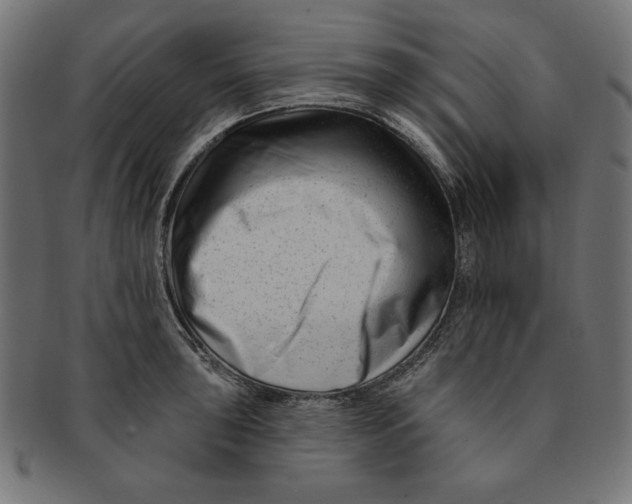 X0000091671043200709201215