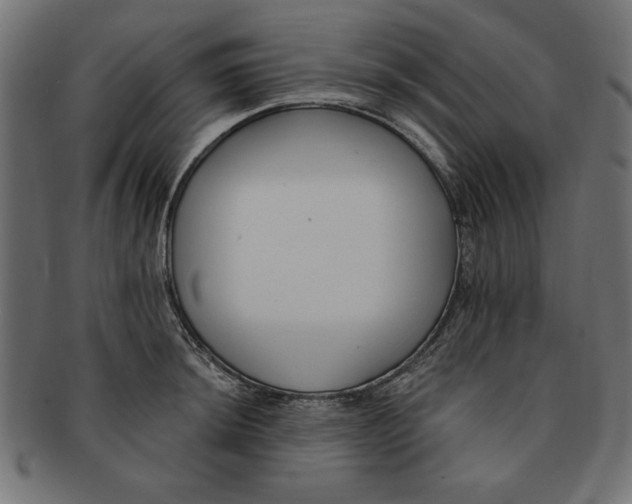 X0000091671044200709201215