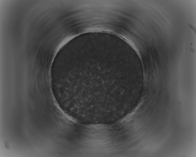 X0000091671045200709201215