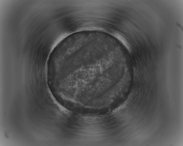 X0000091671046200709201215