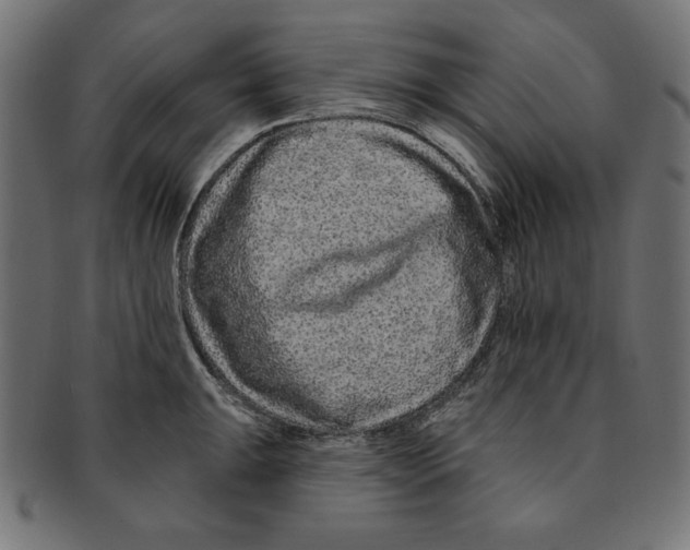 X0000091671047200709201215