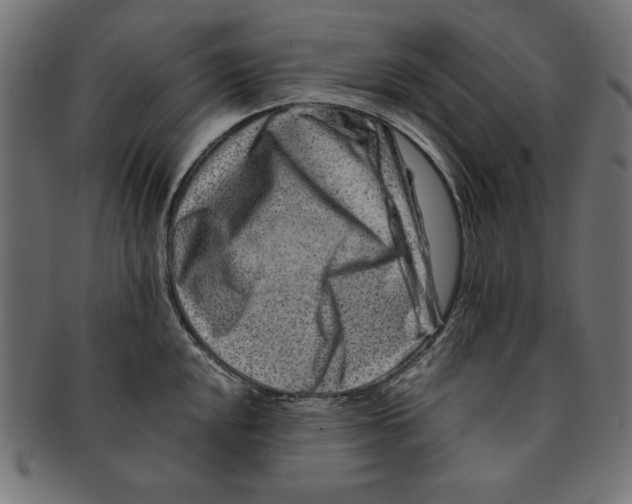 X0000091671048200709201215