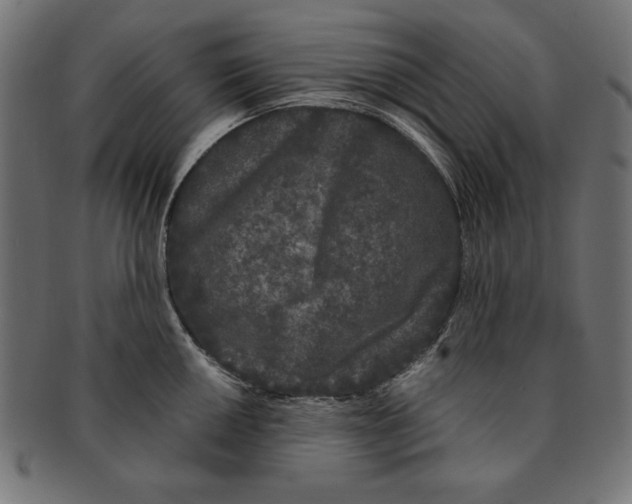 X0000091671050200709201215