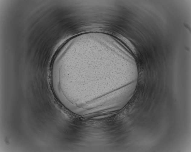 X0000091671051200709201215