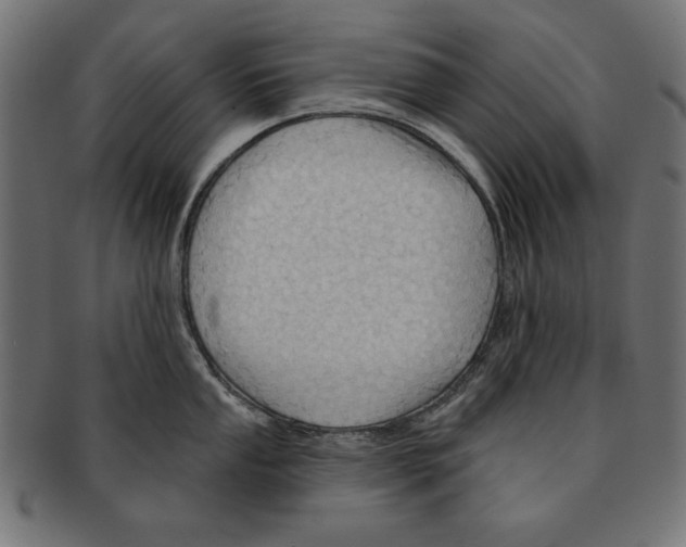 X0000091671053200709201215