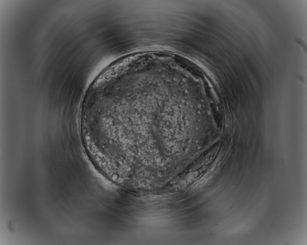 X0000091671054200709201215