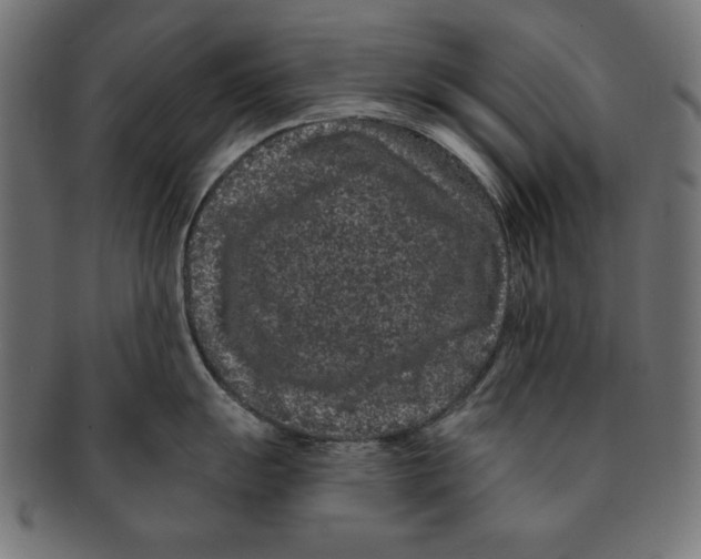 X0000091671055200709201215