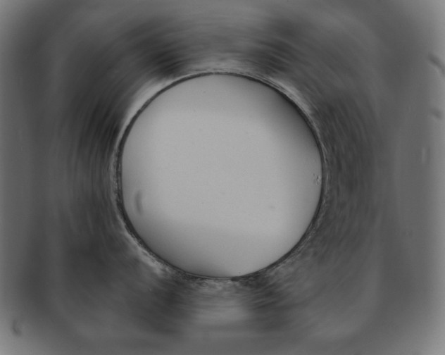 X0000091671056200709201215