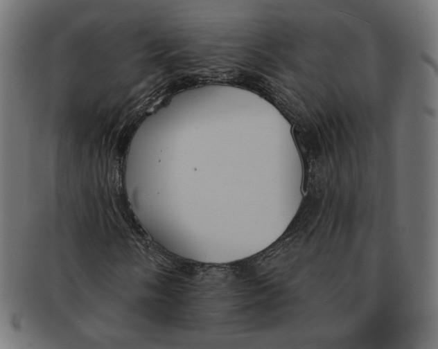 X0000091671058200709201215