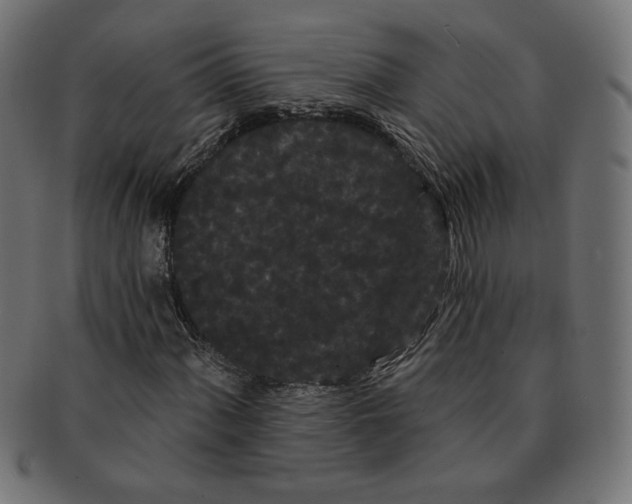 X0000091671060200709201215