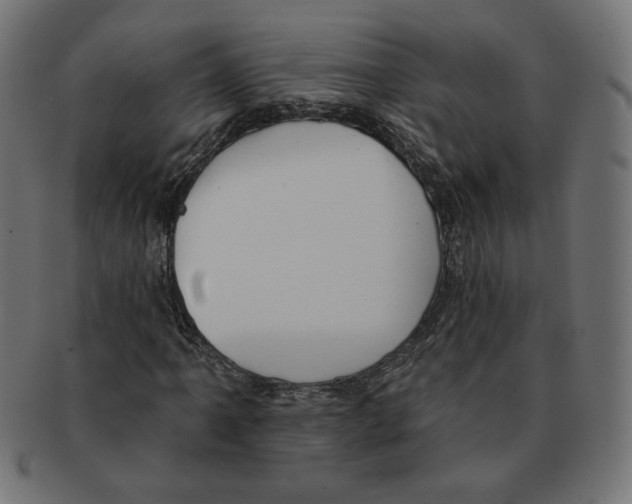 X0000091671061200709201215