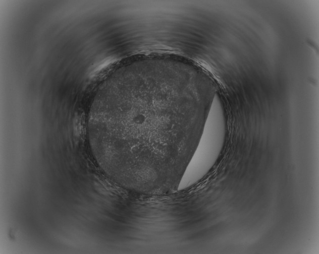 X0000091671063200709201215