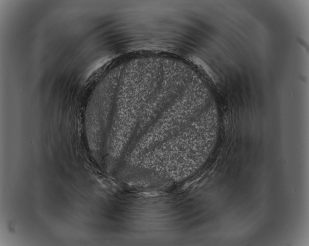 X0000091671064200709201215