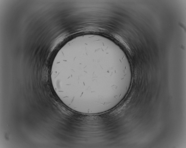 X0000091671067200709201215