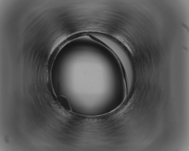 X0000091671069200709201215