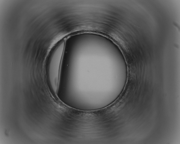 X0000091671070200709201215