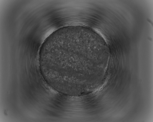 X0000091671071200709201215