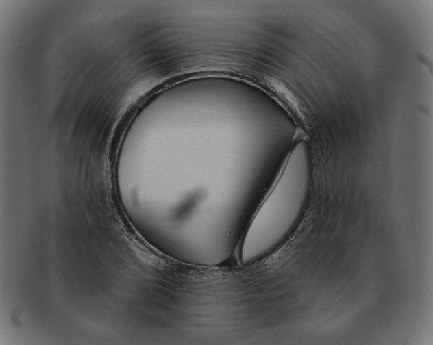 X0000091671072200709201215