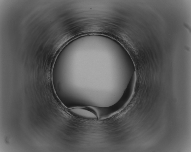 X0000091671073200709201215