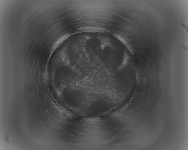 X0000091671074200709201215