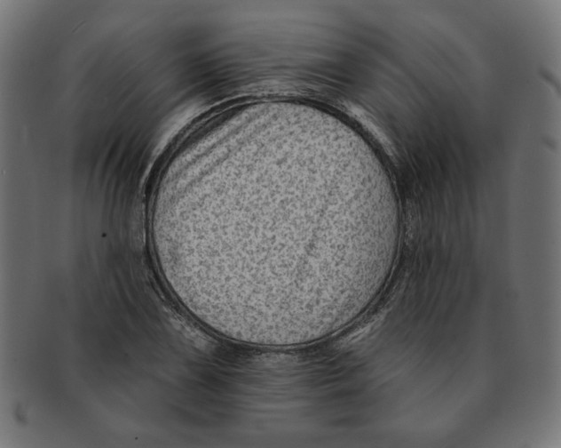 X0000091671075200709201215