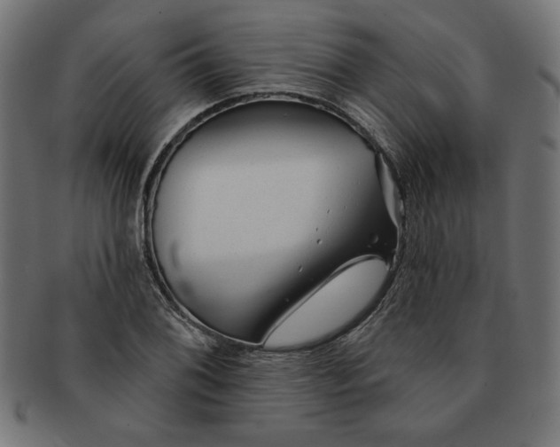 X0000091671076200709201215