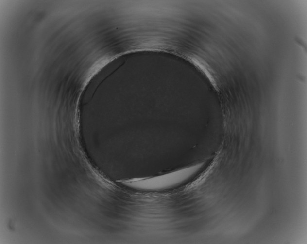 X0000091671077200709201215