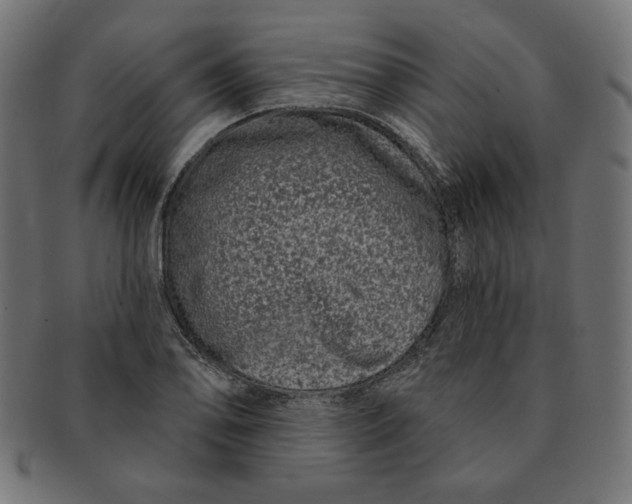 X0000091671078200709201215