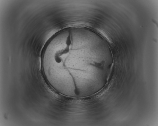 X0000091671079200709201215