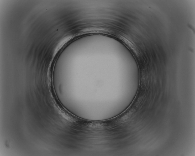 X0000091671082200709201215