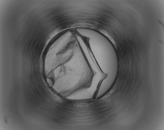 X0000091671083200709201215