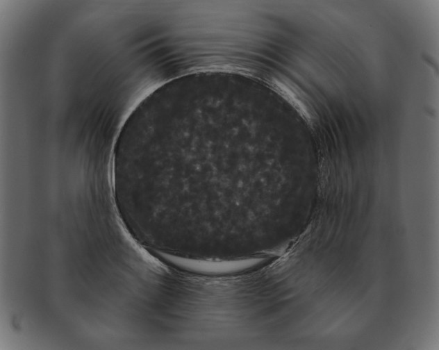 X0000091671084200709201215