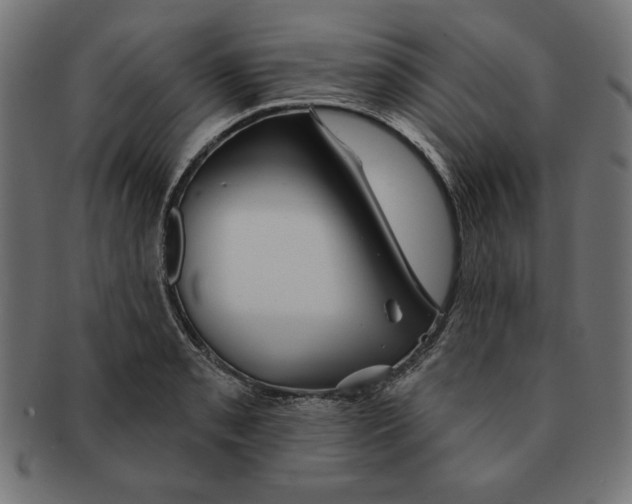 X0000091671085200709201215