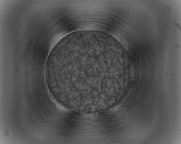 X0000091671086200709201215