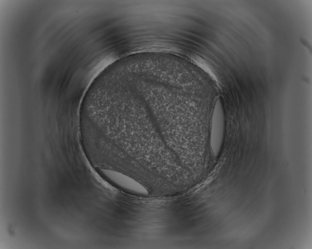 X0000091671087200709201215