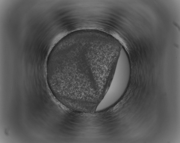 X0000091671088200709201215