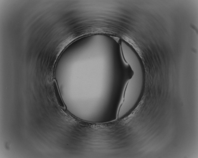 X0000091671089200709201215