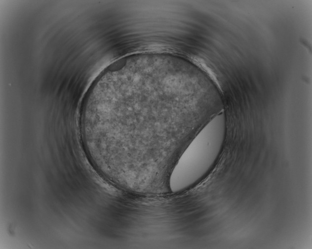 X0000091671091200709201215