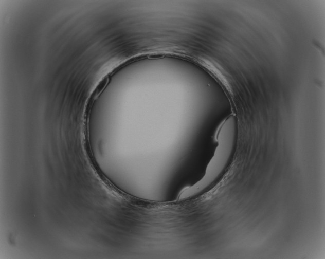 X0000091671093200709201214