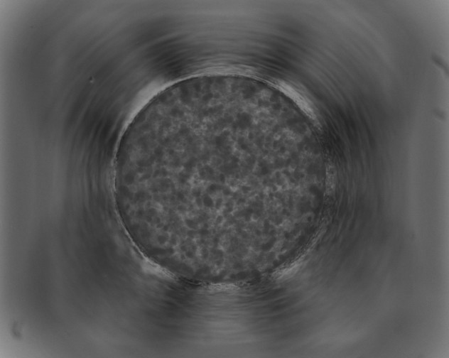 X0000091671094200709201214