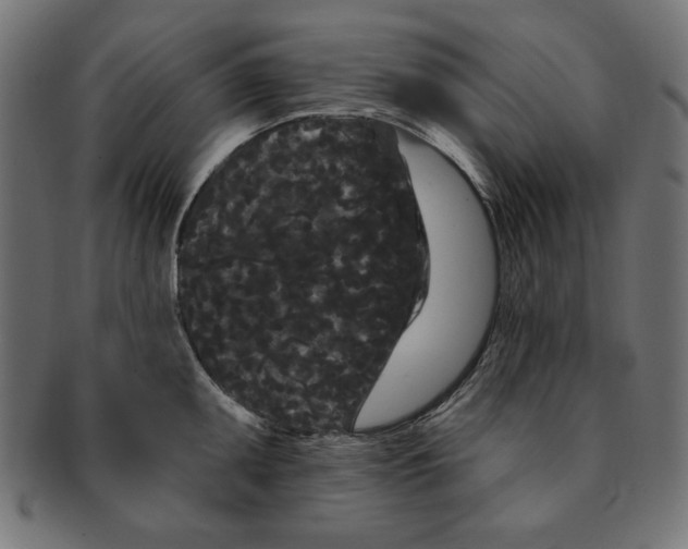 X0000091671095200709201214