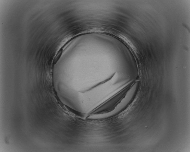 X0000091671097200709201214