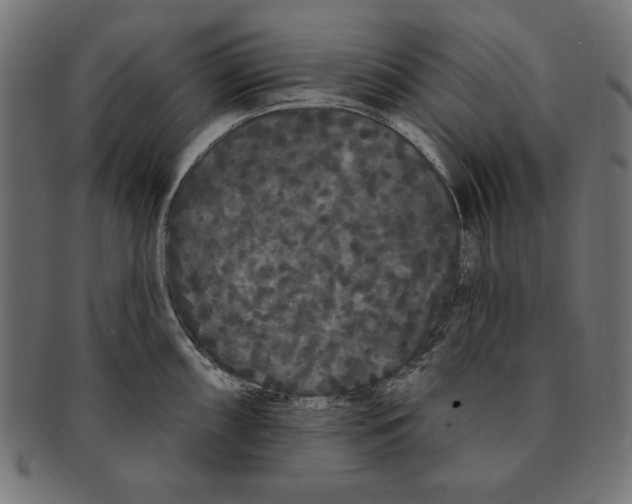 X0000091671098200709201214