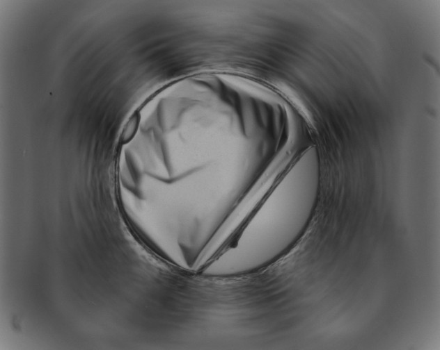 X0000091671100200709201214