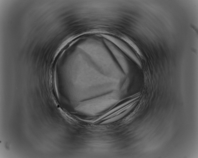 X0000091671101200709201214