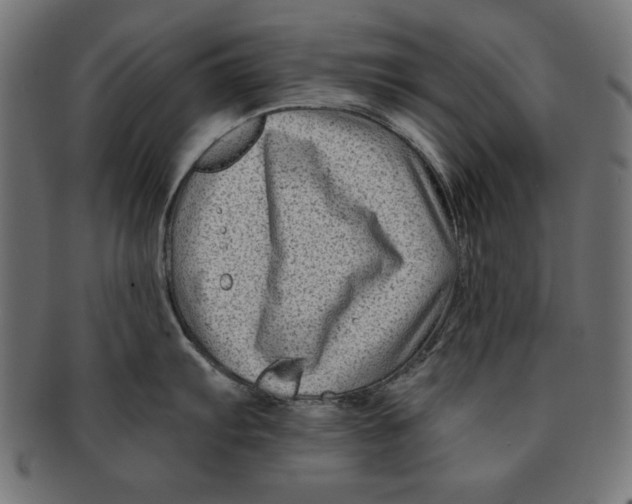 X0000091671103200709201214