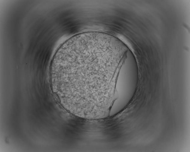 X0000091671104200709201214