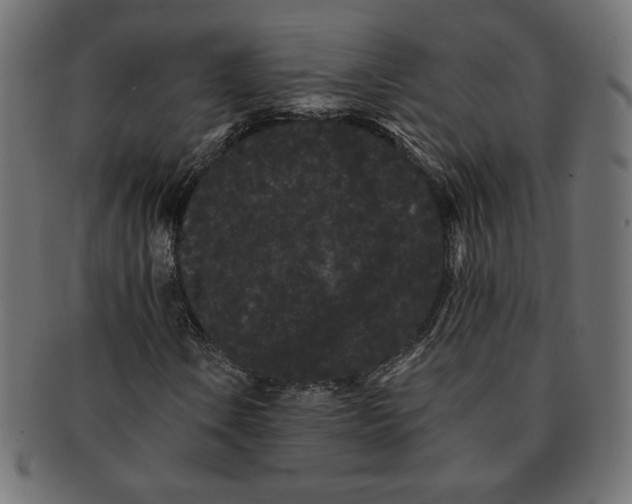 X0000091671106200709201214